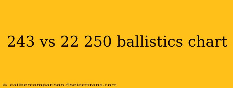 243 vs 22 250 ballistics chart