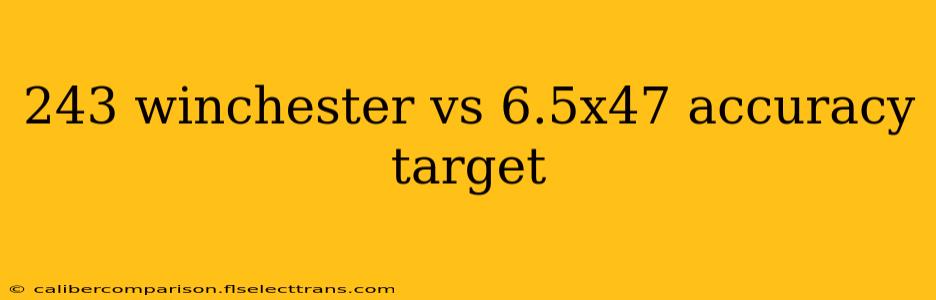 243 winchester vs 6.5x47 accuracy target