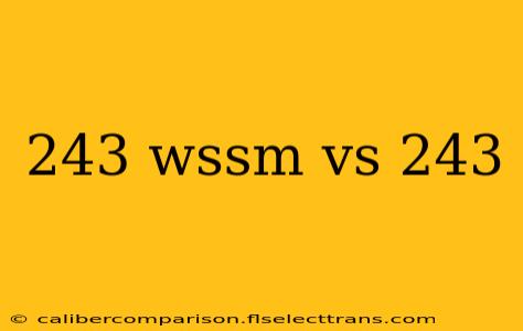 243 wssm vs 243