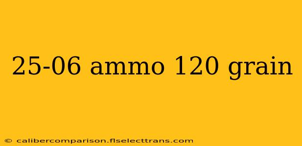 25-06 ammo 120 grain