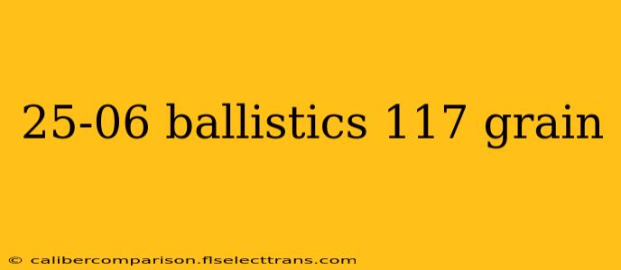 25-06 ballistics 117 grain