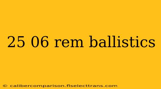 25 06 rem ballistics