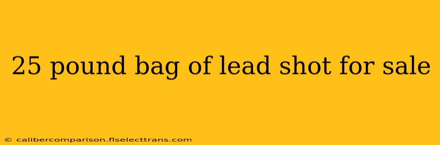 25 pound bag of lead shot for sale