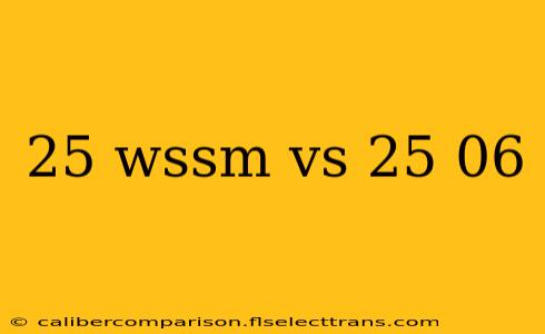 25 wssm vs 25 06