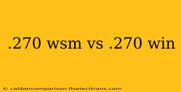 .270 wsm vs .270 win