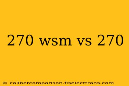 270 wsm vs 270