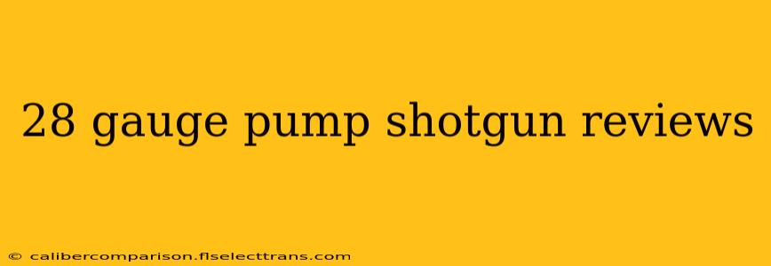 28 gauge pump shotgun reviews