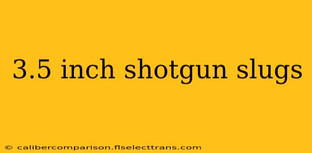 3.5 inch shotgun slugs