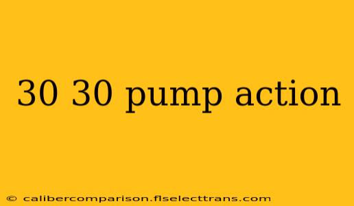 30 30 pump action