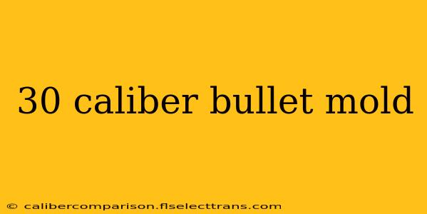 30 caliber bullet mold