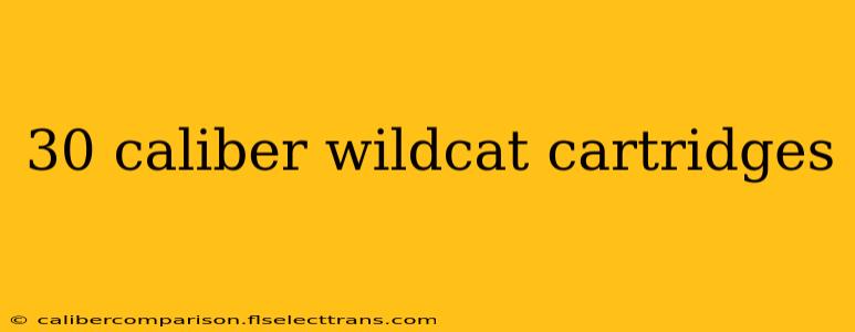 30 caliber wildcat cartridges