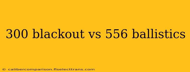 300 blackout vs 556 ballistics