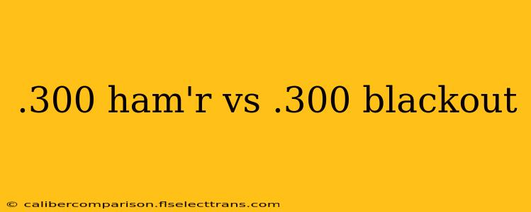 .300 ham'r vs .300 blackout