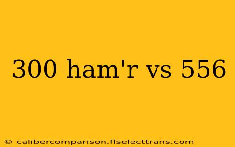 300 ham'r vs 556