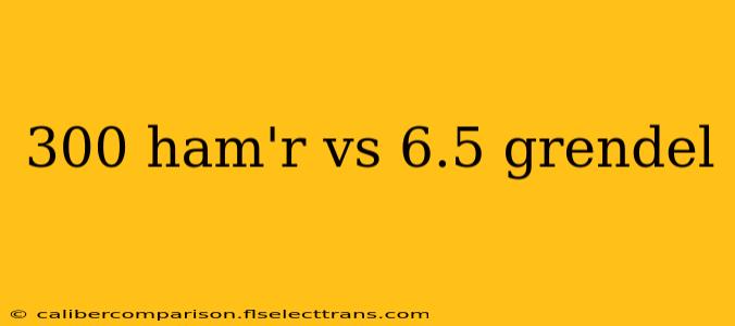 300 ham'r vs 6.5 grendel