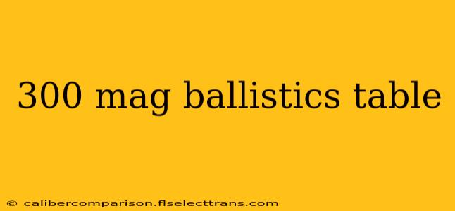 300 mag ballistics table