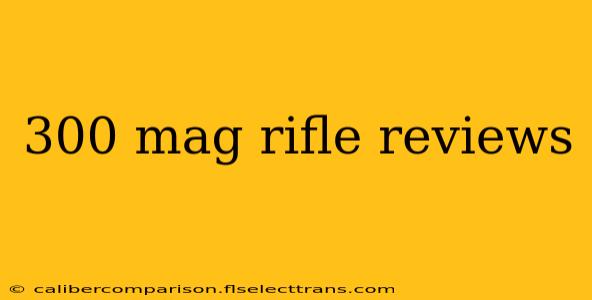 300 mag rifle reviews