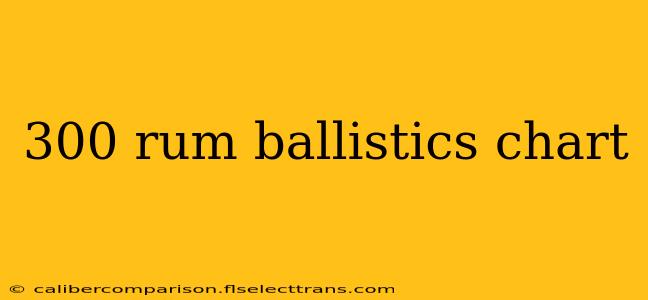 300 rum ballistics chart