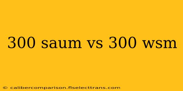 300 saum vs 300 wsm