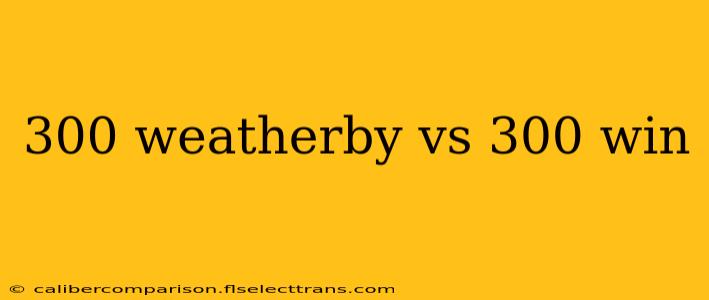 300 weatherby vs 300 win