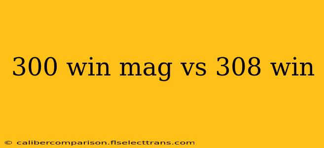 300 win mag vs 308 win