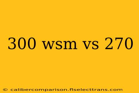 300 wsm vs 270