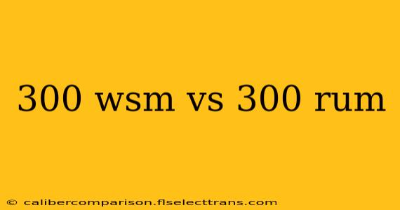 300 wsm vs 300 rum