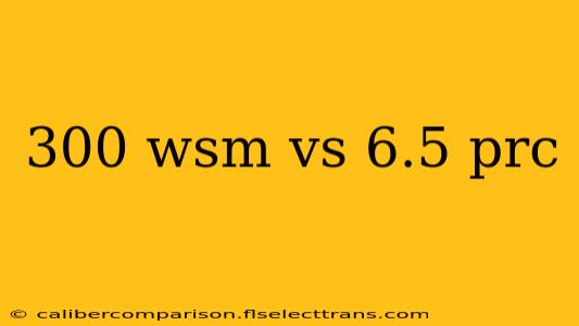 300 wsm vs 6.5 prc