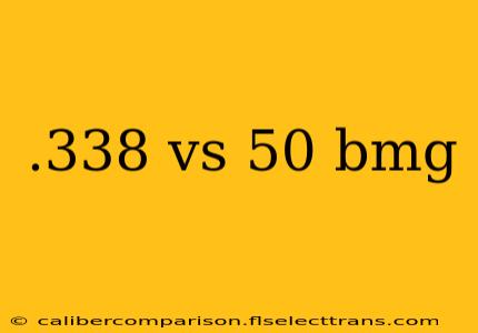 .338 vs 50 bmg