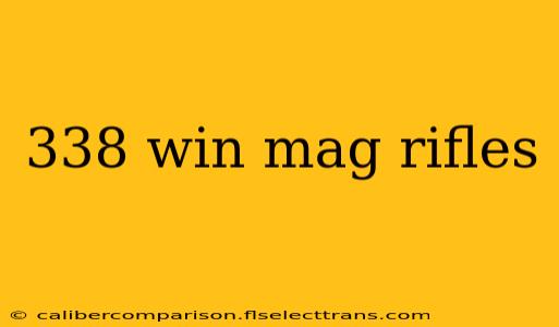 338 win mag rifles