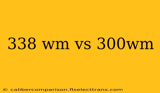 338 wm vs 300wm