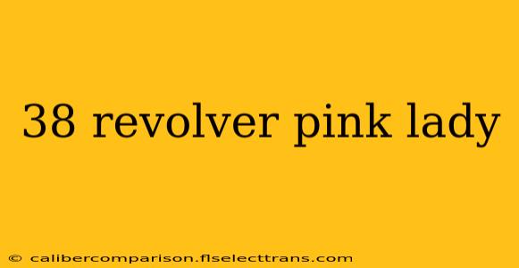 38 revolver pink lady