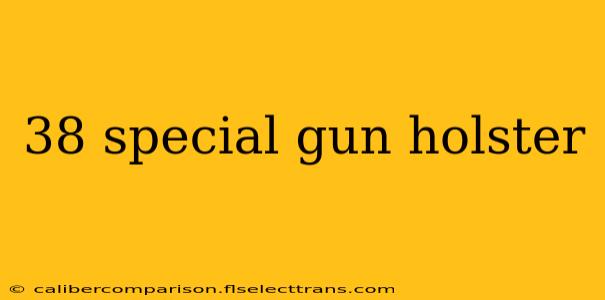 38 special gun holster