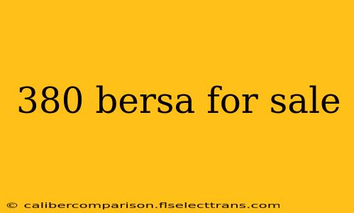 380 bersa for sale