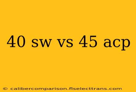 40 sw vs 45 acp