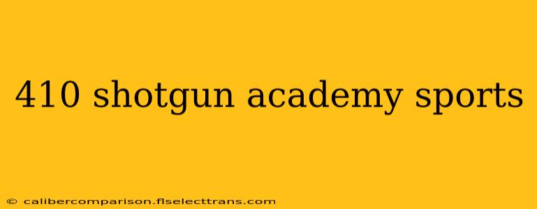 410 shotgun academy sports