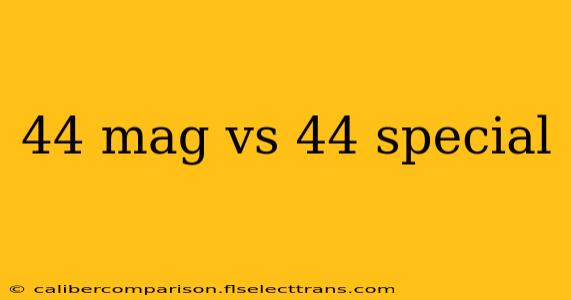 44 mag vs 44 special