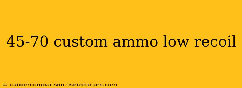 45-70 custom ammo low recoil