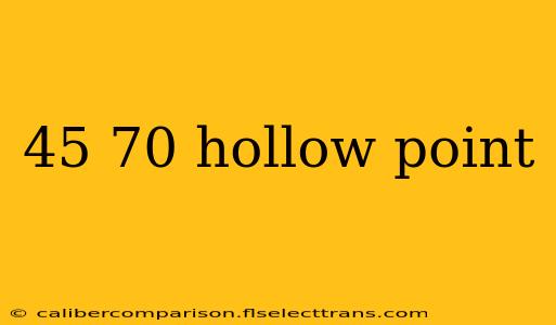 45 70 hollow point