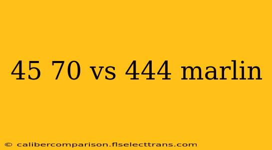 45 70 vs 444 marlin