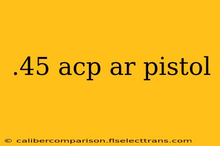 .45 acp ar pistol