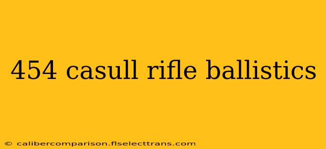 454 casull rifle ballistics