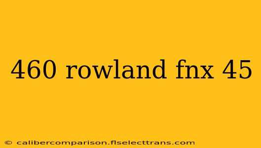 460 rowland fnx 45