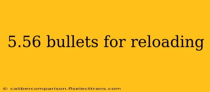 5.56 bullets for reloading