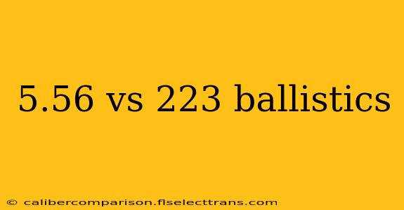 5.56 vs 223 ballistics