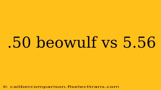 .50 beowulf vs 5.56