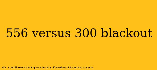 556 versus 300 blackout