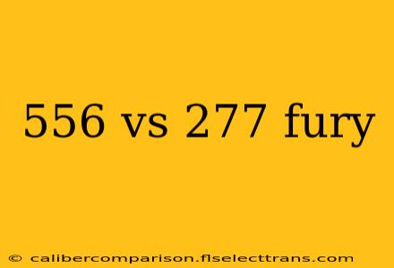 556 vs 277 fury