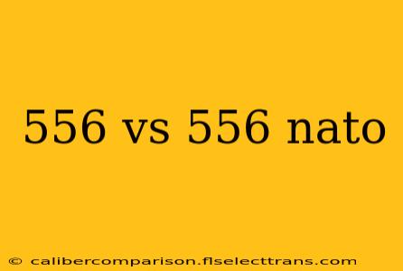 556 vs 556 nato