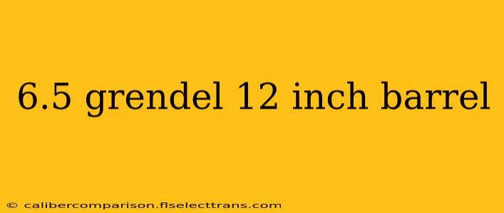 6.5 grendel 12 inch barrel